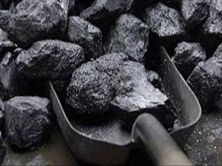 سرمایه گذاری250 میلیون یورویی در طرح های زغال سنگ طبس