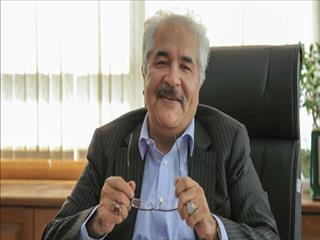 تشکیل کنسرسیوم برای حل چالش سنگ آهن