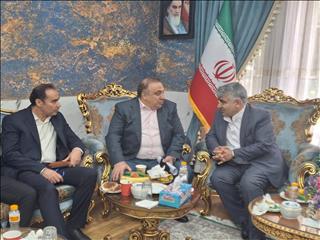 گسترش تعاملات صبانور در راستای استراتژی توسعه