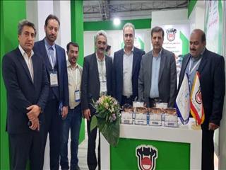 البرز شرقی دومین تولیدکننده زغال‌سنگ خام کشور می‌شود
