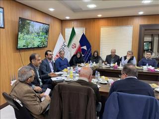 سرمایه‌گذاری ۱۰ هزار میلیاردی ایمیدرو در طبس/ طرح جامع زغال‌سنگ تدوین می‌شود
