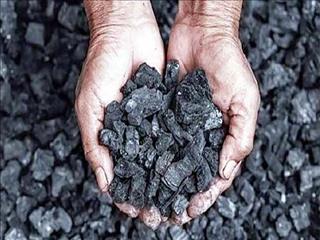 عواقب پایین نگه داشتن قیمت زغال
