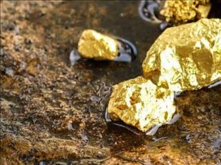 تب طلا، موتور رشد غول معدنی اندونزی