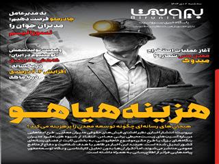 هزینه هیاهو