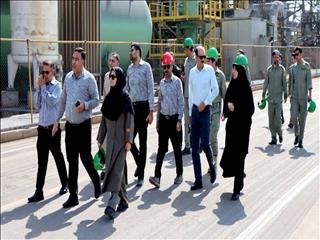 سه ماه تلاش بی‌وقفه؛ نجات گور ایرانی در دل خشکسالی